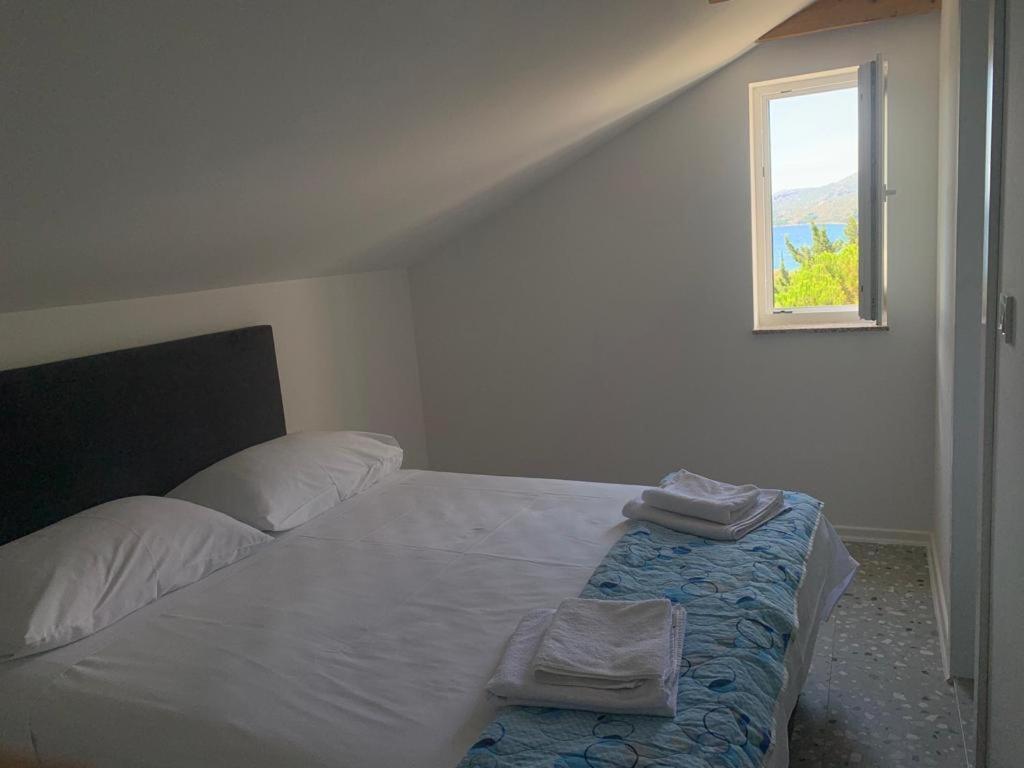 Maria Apartments Starigrad Paklenica Bagian luar foto