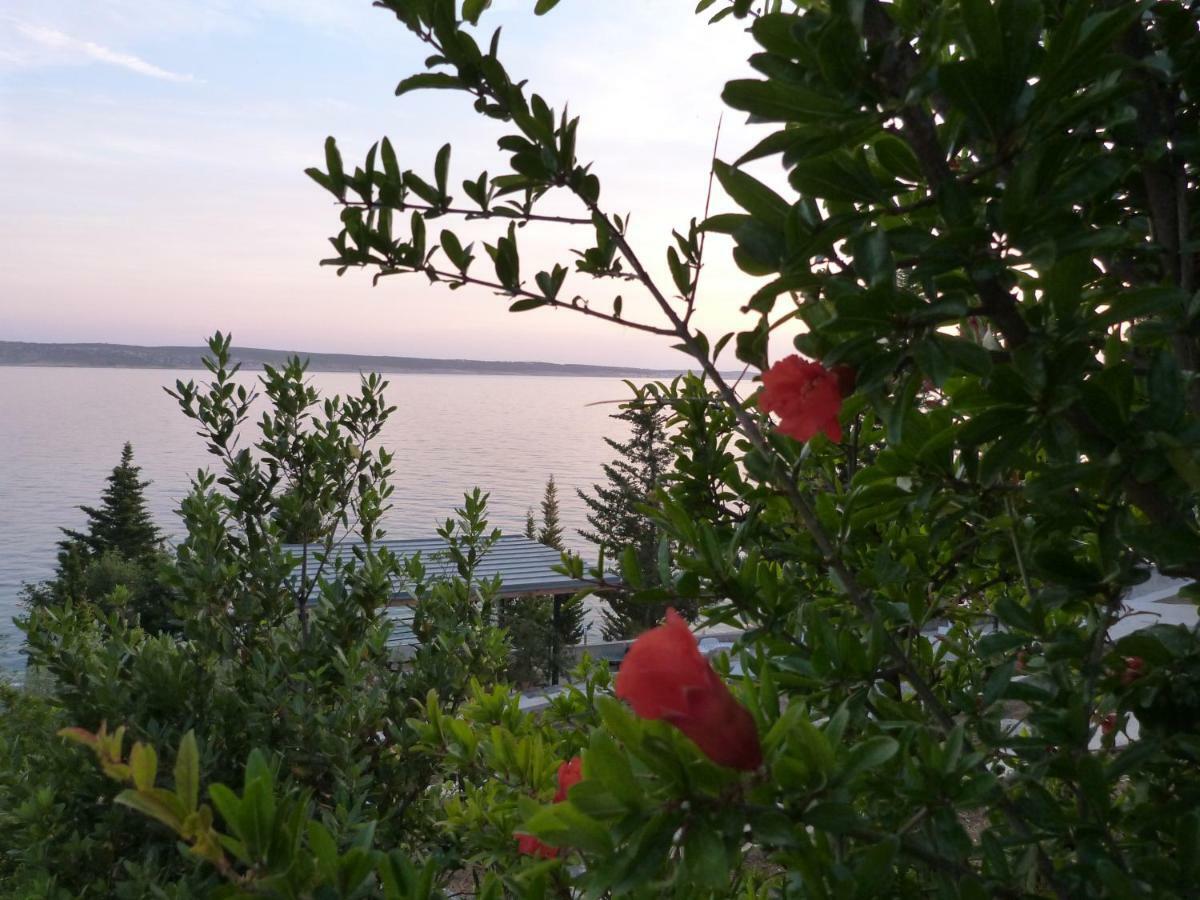 Maria Apartments Starigrad Paklenica Bagian luar foto